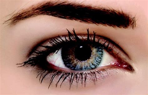 versace contact lenses